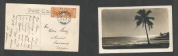 Malaysia. 1928 (5 Apr) FMS. Sepang - Denmark, Thiled. Multifkd Photo Ppc, Cds, At 8c Rate. Fine Scarce Origin. - Malesia (1964-...)