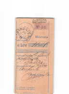 X1293  RICEVUTA VAGLIA BARONISSI 1911 - Taxe Pour Mandats