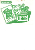 Buvard Liébig N° 7 Belle Saison Vert - Minestre & Sughi