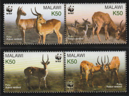 Malawi 2003, Postfris MNH, WWF, Kobus Vardonii - Malawi (1964-...)