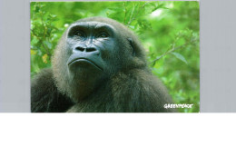 Le Gorille - Singes