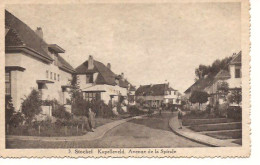 STOCKEL KAPELLEVELD AVENUE DE LA  SPIRALE  209 D1 Postzegel Weg - St-Pieters-Woluwe - Woluwe-St-Pierre