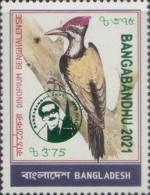 BANGLADESH 2021 BIRDS BLACK RUMPED FLAMEBACK OVERPRINTED BANGABANDHU 2021 SINGLE STAMP MNH - Bangladesch