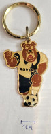 Rovers England Football Club Soccer Pendant Keyring  PRIV-1/5 - Bekleidung, Souvenirs Und Sonstige