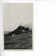 TARASP. CARTE PHOTO. PHOTO POSTCARD. - Tarasp