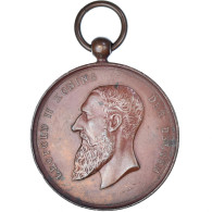 Belgique, Médaille, Léopold II, Prix Agricole De Bruges, Agriculture, 1894 - Autres & Non Classés