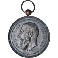 Belgique, Médaille, Léopold II, Exposition D'Agriculture, Stad Thielt, 1892 - Autres & Non Classés
