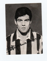 Sandro Salvadore Juventus Con Autografo Stampato 11,5 X  16 Cm.Vintage - Habillement, Souvenirs & Autres