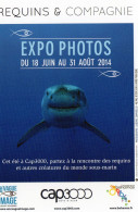 CPM - M - ALPES MARITIMES - SAINT LAURENT DU VAR - CAP 3000 - EXPO PHOTOS - REQUINS ET COMPAGNIE - 2014 - Saint-Laurent-du-Var