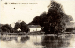 AUDERGHEM-OUDERGEM - Etang Du Rouge-Cloître - Cliché F. Walbohaerts, Bruxelles - Oudergem - Auderghem