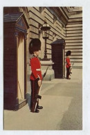 AK 176672 ENGLAND - London - Irish Guards On Sentry Duty At Buckingham Palace - Buckingham Palace