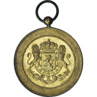 Belgique, Médaille, Fédération Chrétienne Du Brabant Wallon Nivelles 1896 - Autres & Non Classés