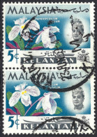 MALAYSIA KELANTAN 1965 5c Multicoloured, Vertical Pair SG103 Used - Kelantan