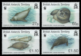 BAT / Brit. Antarktis 2009 - Mi-Nr. 505-508 ** - MNH - Robben / Seals - Ongebruikt