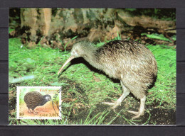 2000  : " FRANCE NOUVELLE-ZELANDE : KIWI AUSTRAL " Sur Carte Maximum N° YT 3360 En Parfait état. CM A SAISIR ! - Kiwis