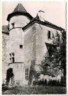 CPSM Dentelée 10.5 X 15 Isère SAINT CHEF (10)  Le Vieux Château  "photographie Véritable" - Saint-Chef