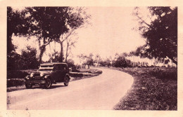 19914 Voitures Automobile Autos, Voiture Ancienne à Identifier  CUBA Central Road Near Havana - PKW