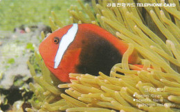 Korea Telecom, MO Autelca, Fish - Corée Du Sud