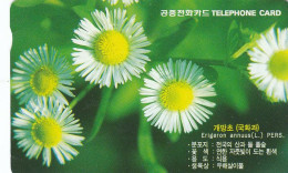Korea Telecom, MO Autelca, Flowers - Corée Du Sud