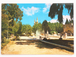 Syria Damasscus Damas  Museum Garden    A 225 - Siria