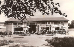 ZUNDERT WERNHOUT 1970 CAMPING PATERSVEN - CAFE RESTAURANT MET TERRAS - Sonstige & Ohne Zuordnung