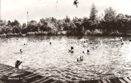 ZUNDERT WERNHOUT 1970 CAMPING PATERSVEN - ZWEMBAD - Autres & Non Classés