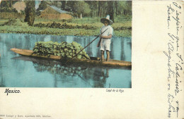 MEXICO - Canal De La Viga, Transport De Végétaux. - Mexico