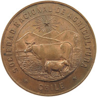 CHILE MEDAL  SOCIEDAD NACIONAL DE AGRICULTURA #tm1 0189 - Chile