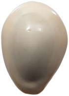 CHINA   Cowry Shell Money #sm02 0645 - Chine