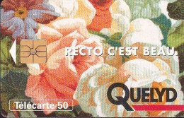 F460 - 04/1994 - QUELYD - 50 GEM1A (verso : Double Logo Moreno) - 1994