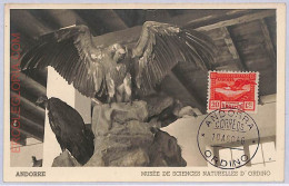 Ad8719 - ANDORRA  - POSTAL HISTORY -  Maximum Card- 1946 Natural History Museum - Other & Unclassified