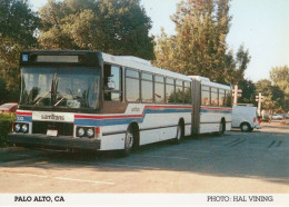 Volvo Articulated Coach Operated By SamTrans In Stanford Shopping Centre - CPM - Bus & Autocars