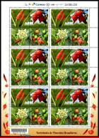 Ref. BR-3315-FO BRAZIL 2015 - VARIETIES OF BRAZILIANPEPPERS, FRUIT, SHEET MNH, FLOWERS, PLANTS 24V Sc# 3315 - Blocks & Kleinbögen