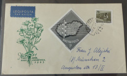 Magyar Posta Air Letter 1963   #cover5666 - Lettres & Documents