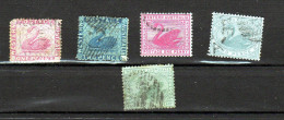 WESTERN AUSTRALIA  LOT - Used Stamps