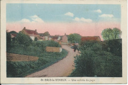 Saint Bris Le Vineux (89) - Une Entrée Du Pays - Saint Bris Le Vineux