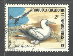 NEW CALEDONIA 1976 OCEAN BIRDS BOOBY USED ONE VALUE - Oblitérés