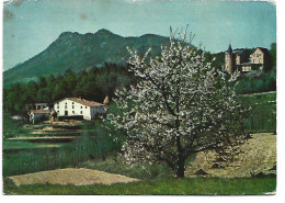 VILLAVECHIA Y MONTAÑA DE SAN MIGUEL DE SOLTERRA.- SANT HILARI SACALM / SAN HILARIO SACALM.-  GIRONA - CATALUNYA. - Gerona