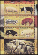 Argentina - 2011 - Souvenir Sheet - Pigs - - Nuovi