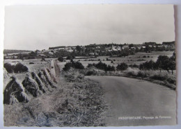 BELGIQUE - NAMUR - HAVELANGE - FROIDEFONTAINE - Panorama - Havelange