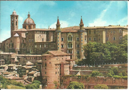 Urbino (Marche) Scorcio Panoramico E Palazzo Ducale Con I Torricini, Panoramic View And Dukal Palace With The Turrets - Urbino