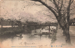 JAPON - Tokyo - Des Cerisiers à Yedogawa - Carte Postale Ancienne - Tokyo