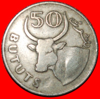 * BULL: THE GAMBIA  50 BUTUTS 1971! · LOW START · NO RESERVE! - Gambie