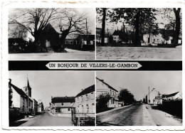 Un  Bonjour De Villers-Le Gambon - Philippeville