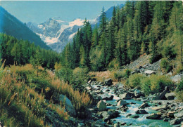 ITALIE - Cogne - La Valnontey - Au Fond Le Gran Paradiso - Colorisé - Carte Postale - Aosta