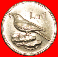 * BIRD (1991-2007): MALTA  1 POUND 1991! MINT LUSTRE!  · LOW START · NO RESERVE! - Malta