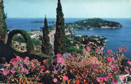 FRANCE - La Côte D'Azur - Le Cap Ferrat - Colorisé - Carte Postale - Saint-Jean-Cap-Ferrat