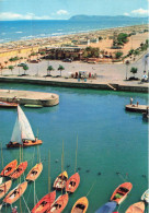 ITALIE - Riccione - La Plage - Colorisé - Carte Postale - Rimini