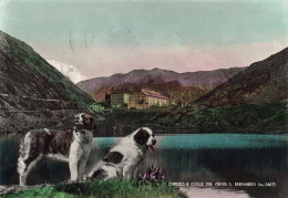 ITALIE - Col Du Grand-Saint-Bernard - Colorisé - Carte Postale Ancienne - Autres & Non Classés