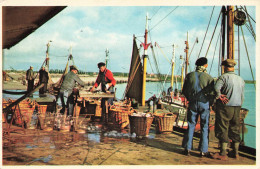 SOUVENIR DE LA MER - Après Le Pêche - Colorisé - Carte Postale - Souvenir De...